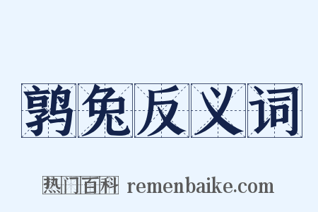 鹑兔反义词是什么意思的图片